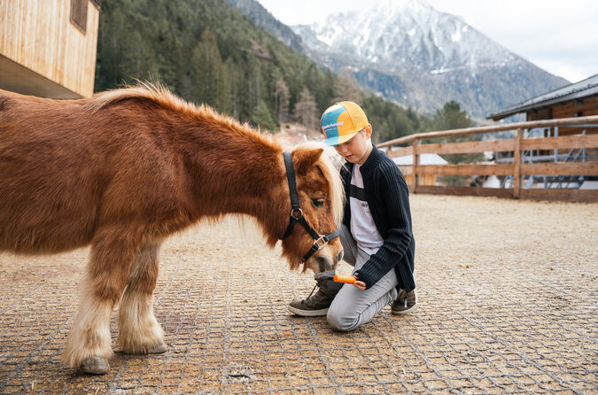 Ein Junge füttert ein Pferd mit einer Karotte, vor schneebedecktem Berg und Wald.