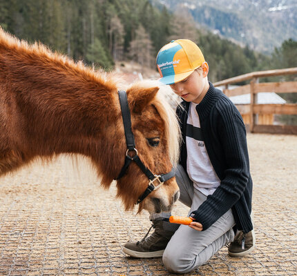 Ein Junge füttert ein Pferd mit einer Karotte, vor schneebedecktem Berg und Wald.